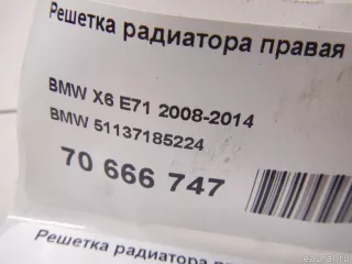 51137185224 BMW Решетка радиатора правая BMW X5 E70 Арт E70666747, вид 11