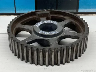 504123795 Fiat Шестерня (шкив) распредвала Fiat Ducato 4 Арт E31403606, вид 2
