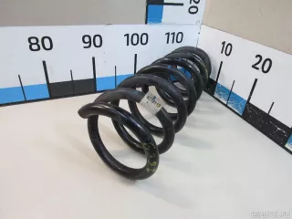 31336778113 BMW Пружина передняя BMW X5 E70 Арт E80911703, вид 4