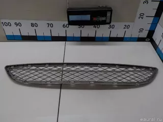 51117176282 BMW Решетка в бампер центральная BMW X5 E70 Арт E84536070, вид 1