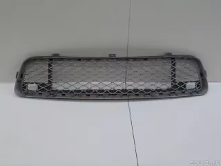 51117163957 BMW Решетка в бампер центральная BMW X5 E70 Арт E84566439, вид 1