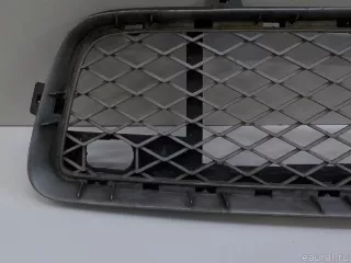 51117163957 BMW Решетка в бампер центральная BMW X5 E70 Арт E84566439, вид 2