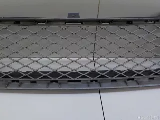 51117163957 BMW Решетка в бампер центральная BMW X5 E70 Арт E84566439, вид 3