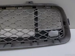 51117163957 BMW Решетка в бампер центральная BMW X5 E70 Арт E84566439, вид 4