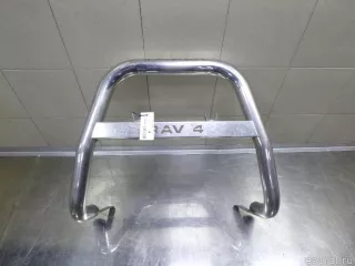  Отбойник передний (кенгурятник) Toyota Rav 4 3 Арт E12808410, вид 1