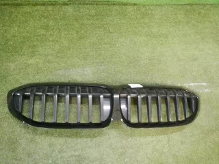 51138072085 решетка радиатора BMW 3 G20/G21 Арт DIZ0000004962489, вид 1