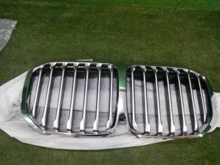 51137454895 решетка радиатора BMW X7 g07 Арт DIZ0000005191796, вид 1