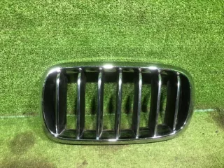 51137316061 решетка радиатора левая BMW X5 F15 Арт DIZD8035, вид 1