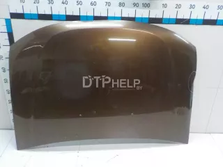651000987R Капот Renault Duster 1 Арт AM84400777, вид 1