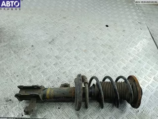  Стойка подвески передняя правая Opel Vectra C  Арт 54195523, вид 1