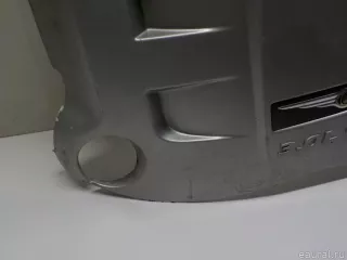 4591996AC Chrysler Накладка декоративная Chrysler 300C 1 Арт E40861559, вид 3