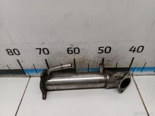 1771581 Ford Радиатор EGR Ford Ranger 3 Арт E31525432, вид 1