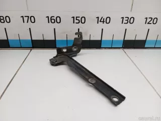 5N0823302A VAG Петля капота правая Volkswagen Tiguan 1 Арт E31553263, вид 4