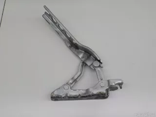 1Z0823302C VAG Петля капота правая Skoda Octavia A8 Арт E84740243, вид 1