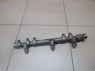 314002F000 Hyundai-Kia Рейка топливная (рампа) Kia Carnival 2 2.2л Арт E12661507, вид 1