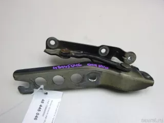 1Z0823302C VAG Петля капота правая Skoda Octavia A8 Арт E48445046, вид 1