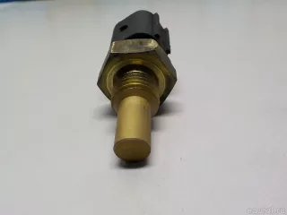 1615423117 Ssang Yong Датчик температуры SsangYong Rodius 1 Арт E52269780, вид 5