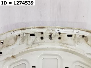 651000987R Капот  Renault Duster 1 Арт VD1274539, вид 4