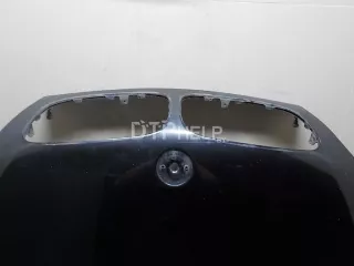 41617273439 Капот BMW X5 E70 Арт AM52380604, вид 10