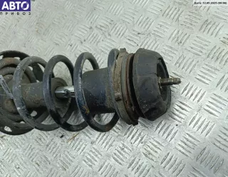 22245861 Стойка подвески передняя правая Opel Astra G Арт 54556850, вид 3