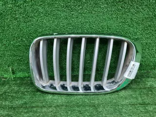 51117210725 Решетка радиатора левая BMW X3 F25 Арт 0000006781835, вид 1