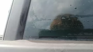 5E9833055C Дверь задняя левая Skoda Octavia A7 Арт 8AG49FG01, вид 4