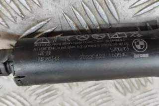 9482803 , art11728186 Амортизатор крышки багажника (3-5 двери) BMW X7 g07 Арт 11728186, вид 8