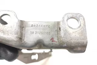 31250186 , art8094397 Петля капота Volvo C70 2 Арт 8094397, вид 2