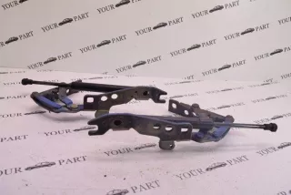 8402174 , art8242448 Петля капота BMW X5 E53 Арт 8242448, вид 2