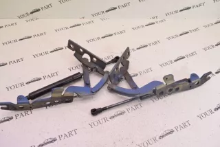 8402174 , art8242448 Петля капота BMW X5 E53 Арт 8242448, вид 6
