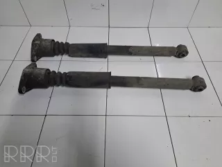artRDV3006 Амортизатор задний Audi A4 B6 Арт RDV3006, вид 1