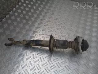 artRAT12696 Амортизатор задний Volkswagen Passat B5 Арт RAT12696, вид 1