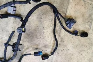 art12128620 Проводка двигателя Land Rover Range Rover Sport 1 restailing Арт 12128620, вид 2