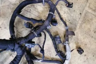 art12128620 Проводка двигателя Land Rover Range Rover Sport 1 restailing Арт 12128620, вид 6