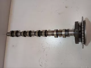 242002F010 Hyundai-Kia Распредвал выпускной Kia Sorento 3 restailing Арт E23460466, вид 4