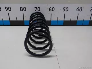  Пружина задняя Ford Focus 3 restailing Арт E51323202, вид 2