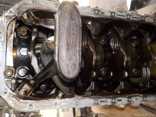 1900030440 Toyota Двигатель Toyota Hilux 7 Арт E52184638, вид 18