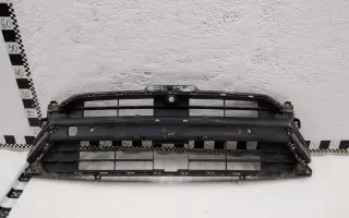 6010110000 Решетка переднего бампера Geely Tugella Арт 987006L, вид 1