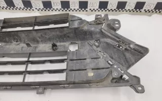6010110000 Решетка переднего бампера Geely Tugella Арт 987006L, вид 9