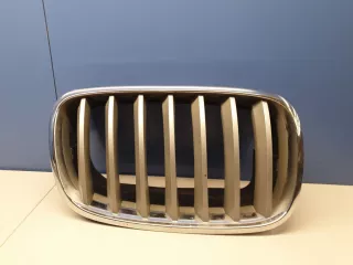 51137171396 Решетка радиатора правая BMW X6 E71/E72 Арт ZAP196368, вид 1