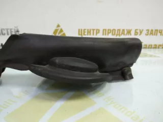 51767255804 Уплотнитель капота BMW 3 F80 Арт TP90235, вид 5