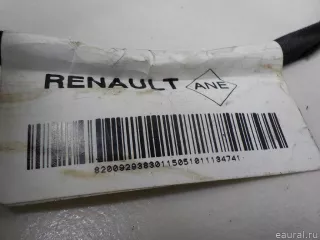 8200809175 Renault Проводка (коса) Renault Kangoo 2 Арт E50806346, вид 9