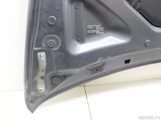 41617486754 BMW Капот BMW X5 E70 Арт E95680562, вид 20