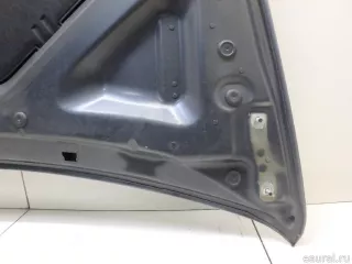 41617486754 BMW Капот BMW X5 E70 Арт E95680562, вид 21