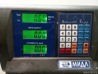 5N0853651H9B9 VAG Решетка радиатора Volkswagen Tiguan 1 Арт E90245470, вид 11