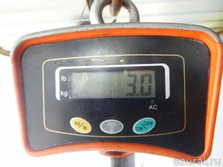 546114831R Renault Стабилизатор подвески (поперечной устойчивости) передний Renault Arkana Арт E22557517, вид 8