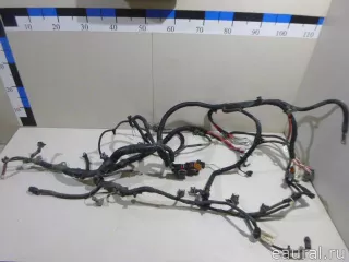 240114023R Renault Проводка (коса) Renault Kangoo 2 Арт E23096938, вид 1