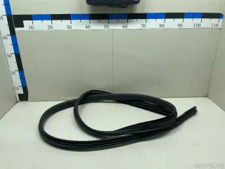 769246051R Renault Уплотнитель двери Renault Duster 2 Арт E23253111, вид 1