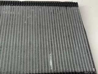 64116975554 BMW Испаритель кондиционера BMW X2 F39 Арт E103024004, вид 12
