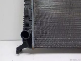214108807R Renault Радиатор основной Renault Duster 2 Арт E40926453, вид 3